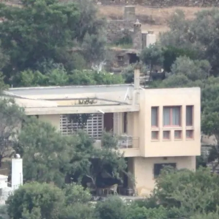 The Almond Tree House