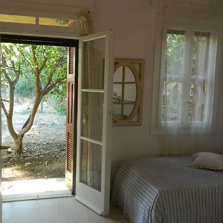 The Almond Tree House