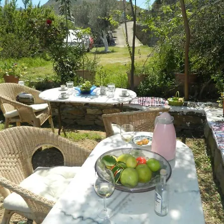 The Almond Tree House Casa vacanze