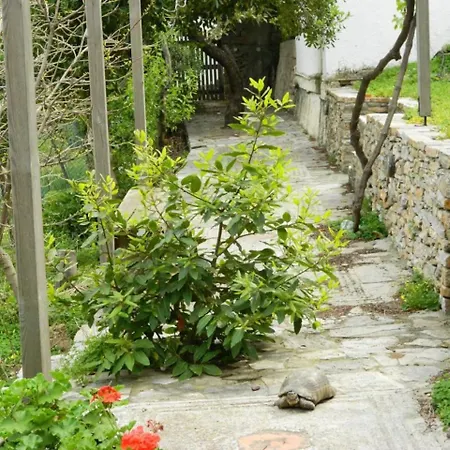 The Almond Tree House Korissia (Kea)